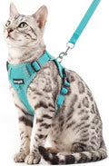 Cat Harness and Leash Escape Proof Extra Large Kitten Harness Maine Coon Cat by pangdi