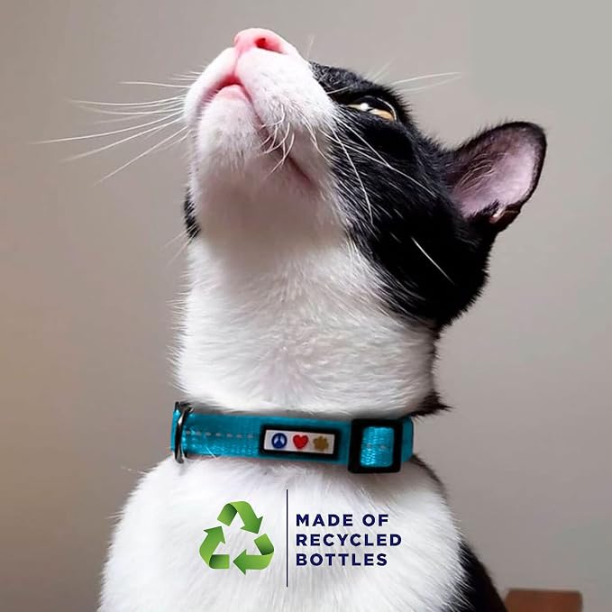 Pawtitas Recycled Black Reflective Cat Collar – Eco-Friendly Breakaway Safety - Image 3
