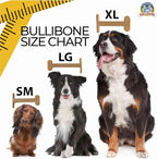 Bullibone Nylon Dog Chew Toy for Aggressive Chewers - Image 8