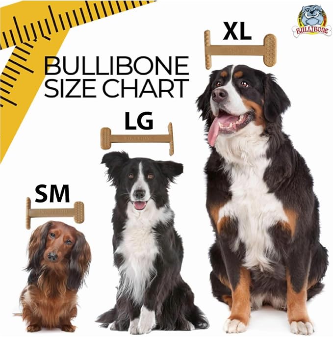 Bullibone Nylon Dog Chew Toy for Aggressive Chewers - Image 8