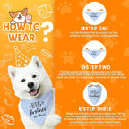 Big Brother Dog Bandanas, Pet Dog Triangle Scarf - Image 4
