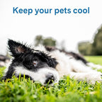 The Green Pet Shop Cool Pet Pad - Image 4