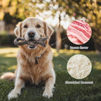 Gardner Pet 2-Pack Dog Chew Toy, Long Lasting Interactive Dog Toys Add Shredded - Image 2