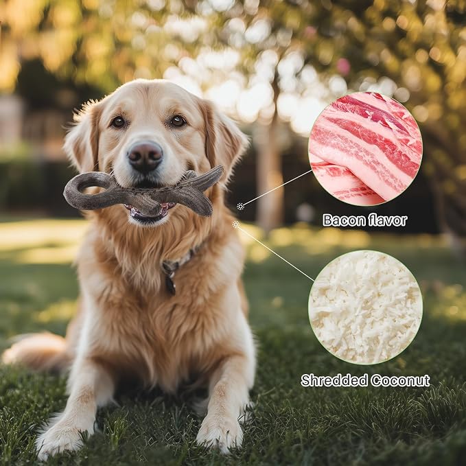 Gardner Pet 2-Pack Dog Chew Toy, Long Lasting Interactive Dog Toys Add Shredded - Image 2