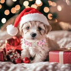 Christmas Dog Collar for Puppy Small Dogs - Image 7