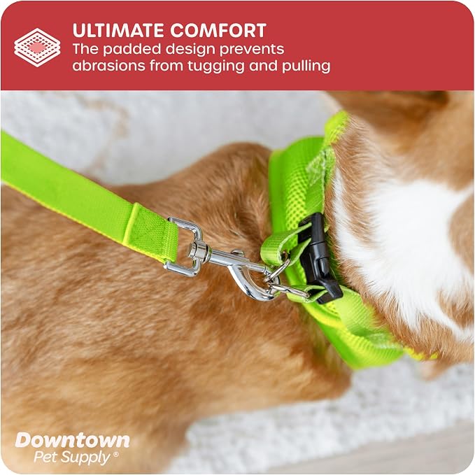 Downtown Pet Supply Step in Dog Harness - Image 6