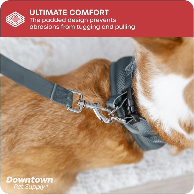 Downtown Pet Supply Step in Dog Harness - Image 6