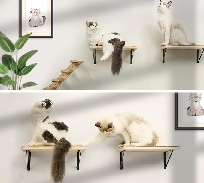 2PCS Cat Wall Shelves with Scratching Mat, 16.6x9.7 Inch Cats Wall Furniture - Image 8