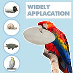 Jmxu's 3.5"-4" Cuttlebone for Birds Natural Cuddle Bone for Parakeets, - Image 5