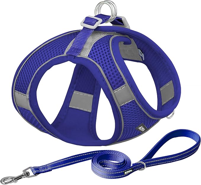 AIITLE Dog Harness, No-Pull Cat Harness by AIITLE-FORPETSBETTERLIFE
