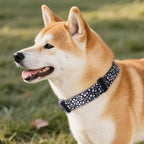 QQPETS Adjustable Soft Dog Collar: Print Flower Pink Multicolor Cute Patterns - Image 2