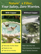Mellbree Bird Bath Copper Disk, 0.6mm Reinforced 99.99% Pure Copper Cleaning - Image 2