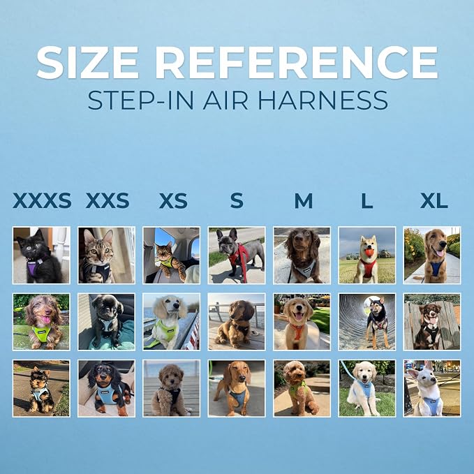 Best Pet Supplies Voyager Step-in Air Harness - Image 7