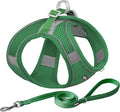 AIITLE Dog Harness, No-Pull Cat Harness by AIITLE-FORPETSBETTERLIFE