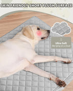 Orthopedic Dog Beds for Small Dogs Waterproof - Image 3