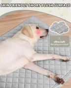 Orthopedic XL Dog Beds Large Sized Dog Waterproof Bed - Image 2