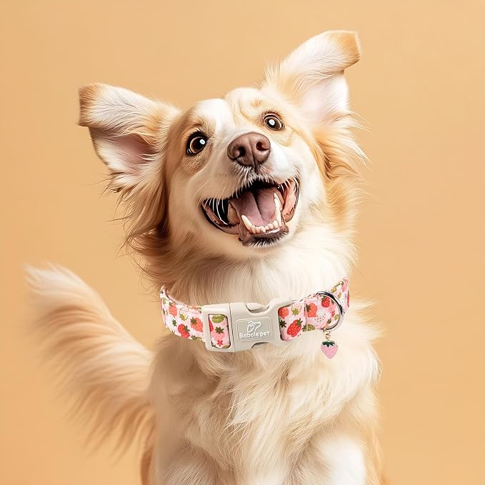 Strawberry Dog Collar for Large Dogs - Image 2
