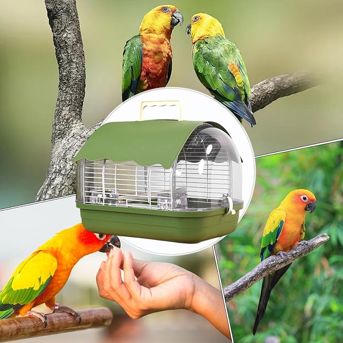 Small Bird Cage, Transparent Bird Travel Carrier, Full View Cockatiel Cage - Image 5
