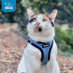 Best Pet Supplies Voyager Step-in Air Harness - Image 9