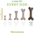 Benebone Maplestick Durable Dog Chew Toy - Image 4