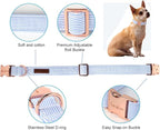 Unique Style Paws Blue Stripe Dog Collar Metal Buckle Gift Cute Collar - Image 2