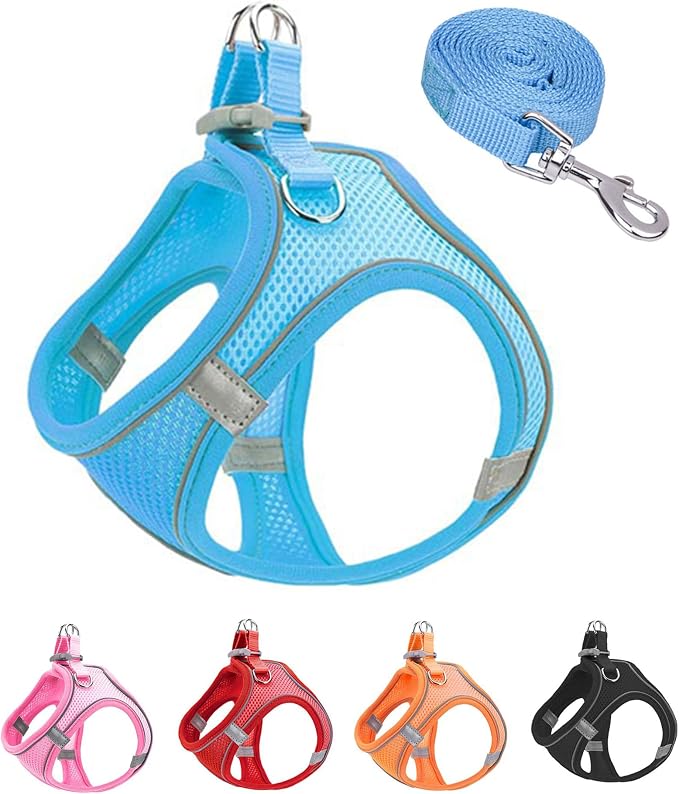 L Blue Soft Mesh Dog Harness and Leash Set, No Escape Puppy Harnesses by Unknown