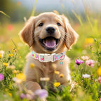 Easter Dog Collar for Giant Large Dogs - Image 7