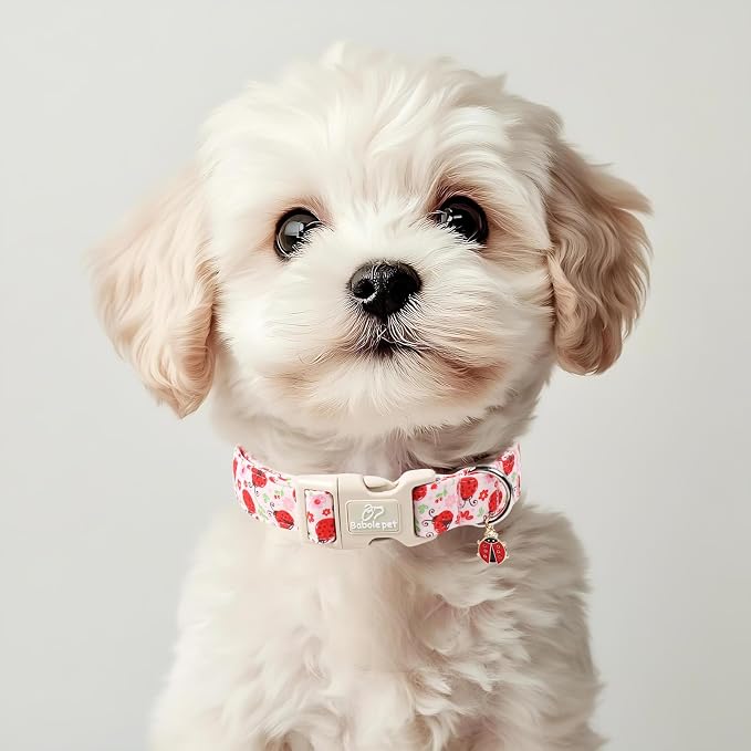 Lucky Ladybug Dog Collar for Giant Large Dogs - Image 5