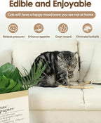 Tocirelo Catnip Toys Silvervine Sticks - Image 4