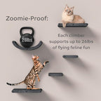 Wall Mounted Cat Perch Long Shelf by Pryde Pets - Image 7