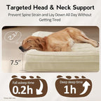 Large Orthopedic Dog Bed with Sides XXL Dog Beds with Removable Washable Cover - Image 3