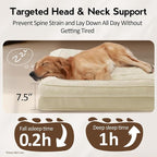Large Dog Bed - XL Orthopedic Egg-Crate Memory Foam Dog Beds - Image 3