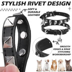 EXPAWLORER Leather Cat Collar - Image 4