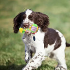 Candy Colored Rope Woven Toy, Durable Dumbbell Design Pet Teeth Grinding Mouth - Image 6