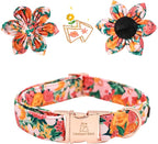 Lionheart Glory Dog Collar - Image 2