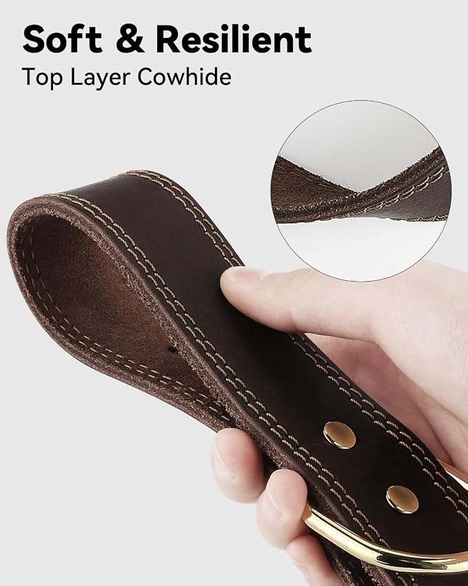 Joytale Genuine Leather Dog Collar - Image 5