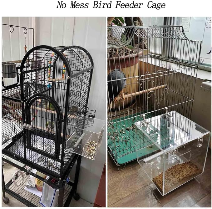 Automatic Acrylic Bird Feeder for Cage, No Mess - Image 6