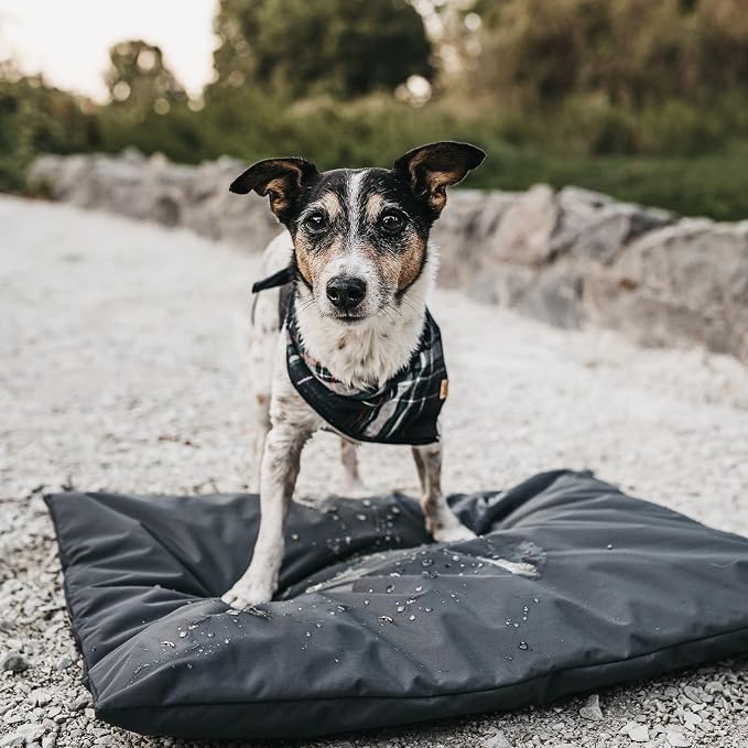 Dog Bed Cover Replacement Washable. 44 "L X 32 "W X 4 "H Washable Removable - Image 7