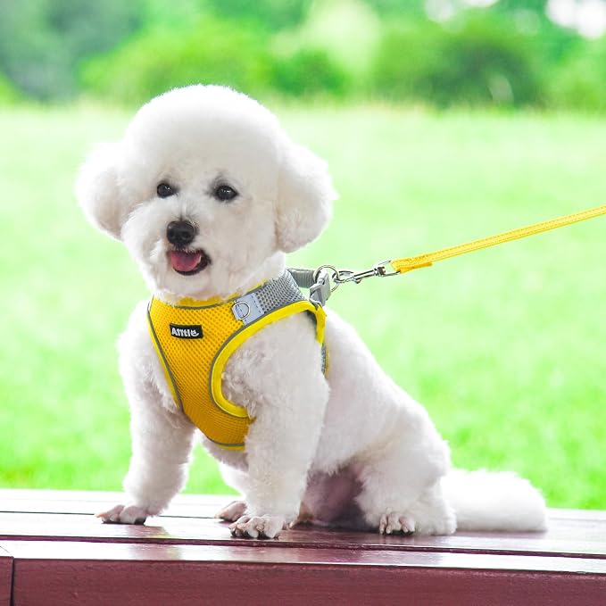 AIITLE Step in Dog Harness and Leash Set - Image 2