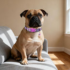 Floral Puppy Collar with Bell - Image 5