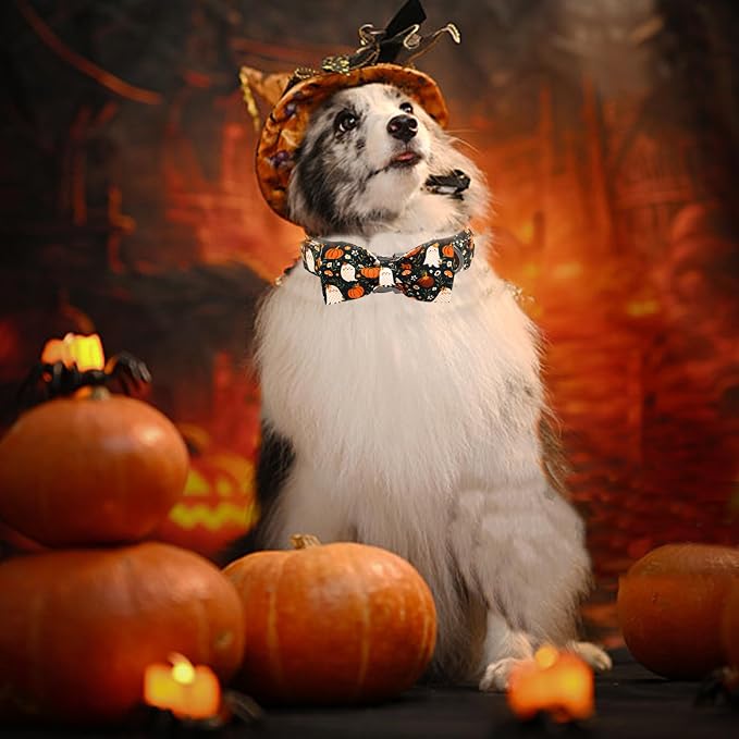 Halloween Dog Collar, Ghost Print Adjustable Pet Collar Fall Pumpkin Cute - Image 6