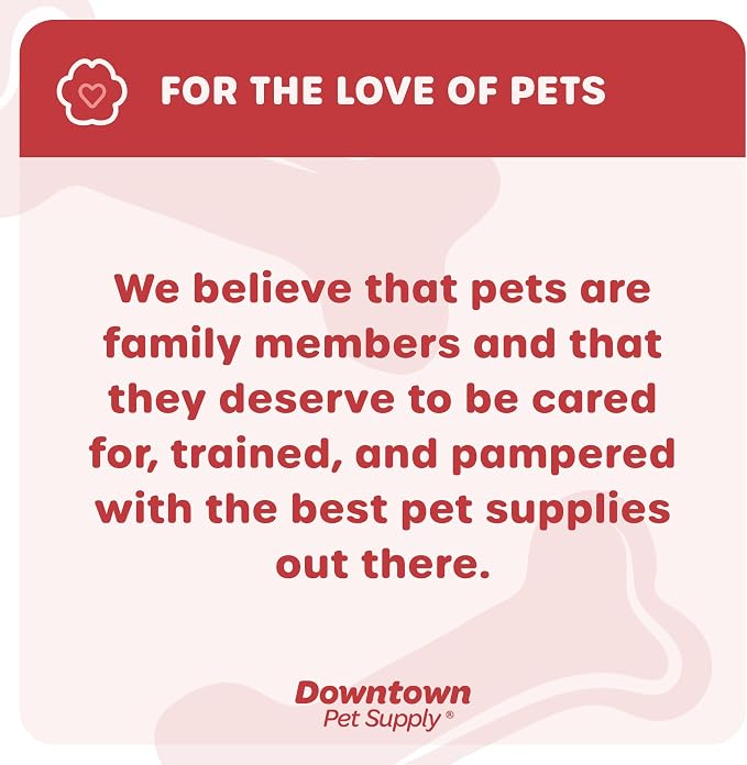 Downtown Pet Supply Step in Dog Harness No Pull, Titanium - Image 8