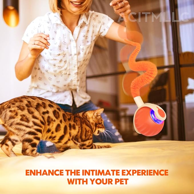 Interactive Dog Cat Ball Toy, Automatic Moving Cat Toy - Image 3