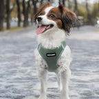 Best Pet Supplies Voyager Step-in Air Harness - Image 7