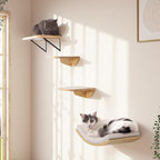 Cat Window Perches, Curved Cat Wall Sisal Mat Bed and 2 Floating Wall Steps - Image 8