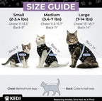 Cat Surgery Recovery Suit Female Cat Onesie - Image 3