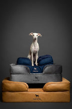 NOAH & PAW Dog Bed, Orthopedic Dog Beds - Image 8