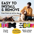 PetJett Prong Collar for Dogs - Image 5