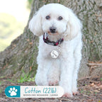 Ultra Joys Personalized Dog Tags - Image 3