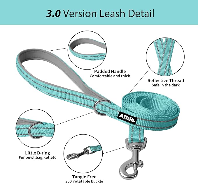 AIITLE Step in Dog Harness and Leash Set - Image 3